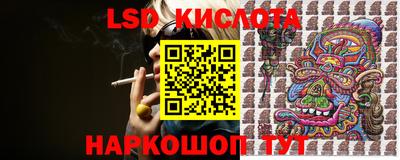 спайс Кандалакша