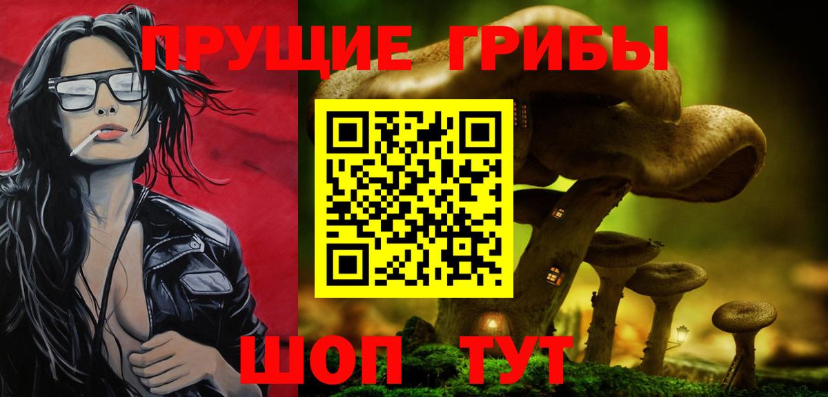 купить наркотики сайты  Галлюциногенные грибы мухоморы  Вход с VPN  Лесной 